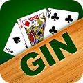 play gin rummy